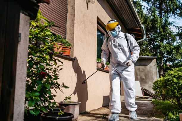 Best Termite Control Services  in South Blooming Grove, NY