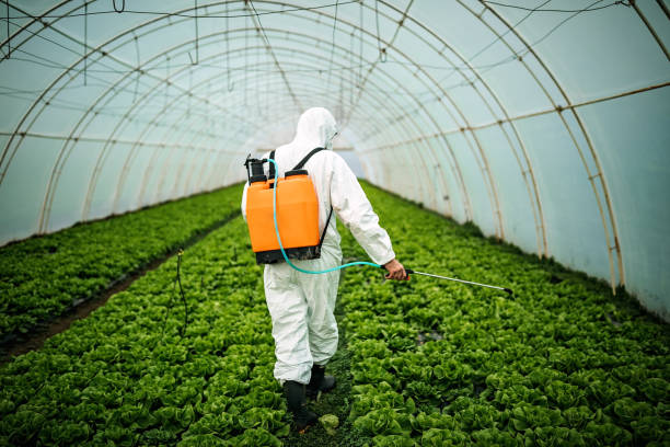 Best Affordable Pest Control Services  in South Blooming Grove, NY