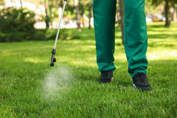 Best Wasp Removal Services  in South Blooming Grove, NY