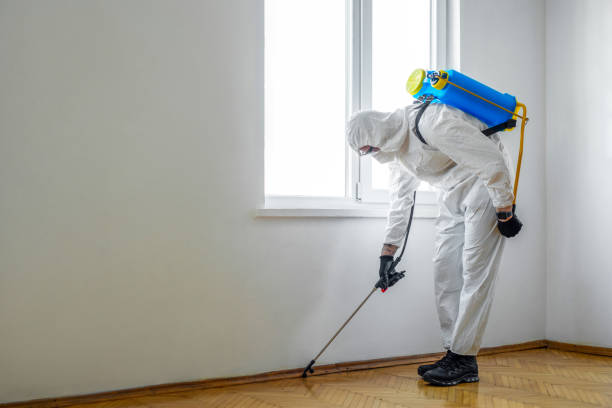 Best Flea Control Services  in South Blooming Grove, NY