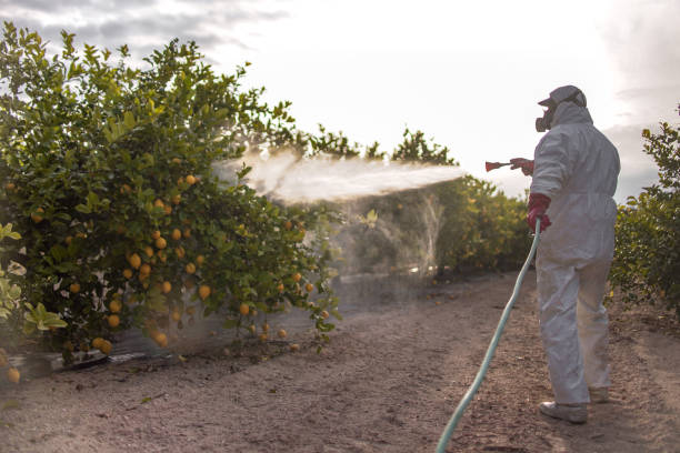 Professional Pest Control in South Blooming Grove, NY
