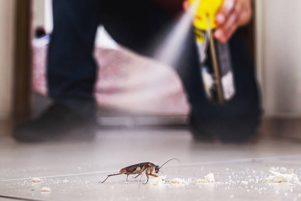 Best Mosquito Control Services  in South Blooming Grove, NY