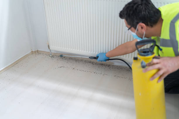 Best Exterminator Services  in South Blooming Grove, NY